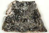 Polished Turkish Stick Agate Slab - Turkey #207951-1